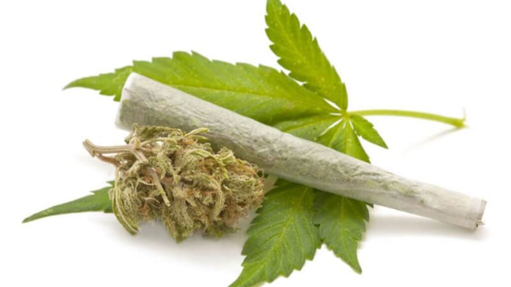 Simpan Ganja 1.7 Kg di Kontrakan, Warga Tangsel Ditangkap Polisi
